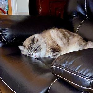 Meet your Posher, Julie